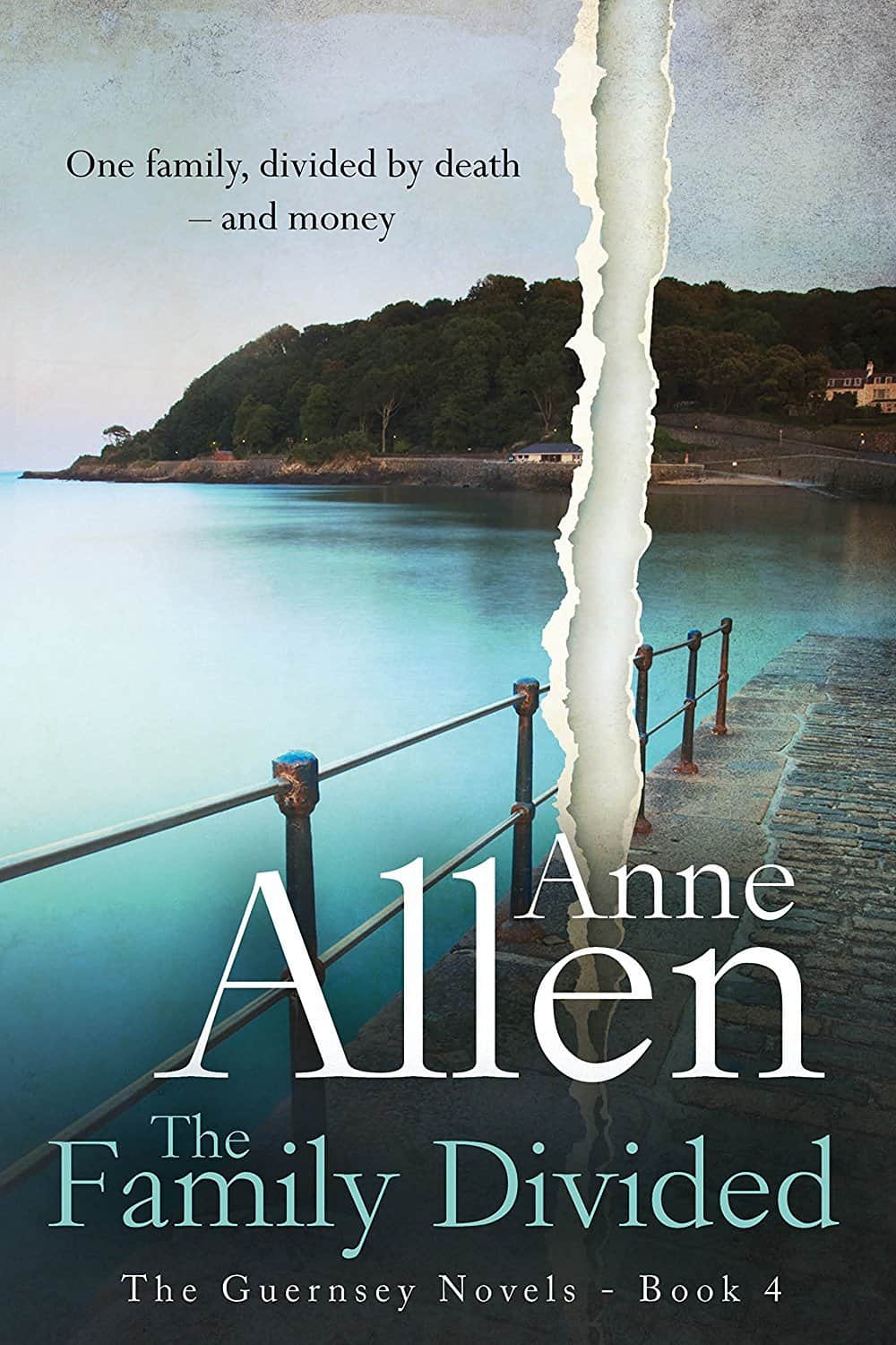 The Family Divided by Anne Allen
